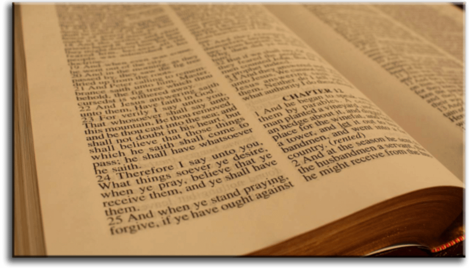 What is the Gospel Bible